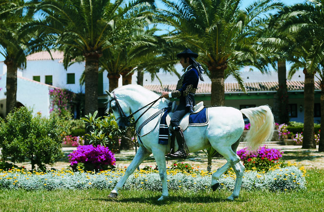 Fly Drive Andalusië Geniet van cultuur en ontspanning in het zonovergoten zuiden 6
