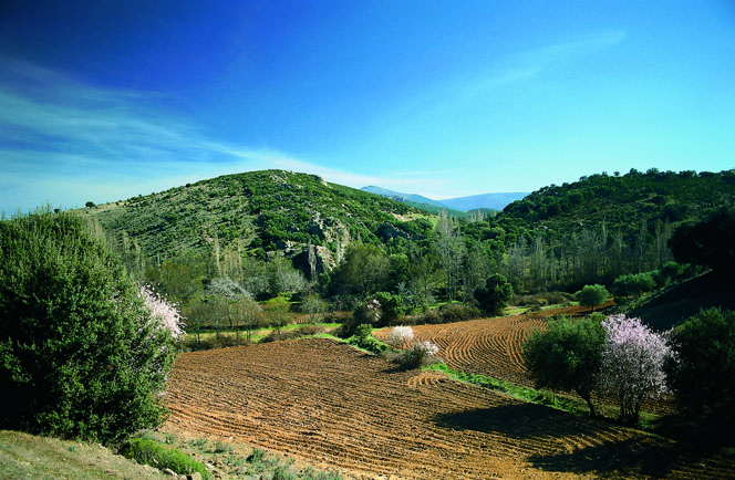 Van Madrid naar Valencia Jouw Perfecte Fly Drive Vakantie 2