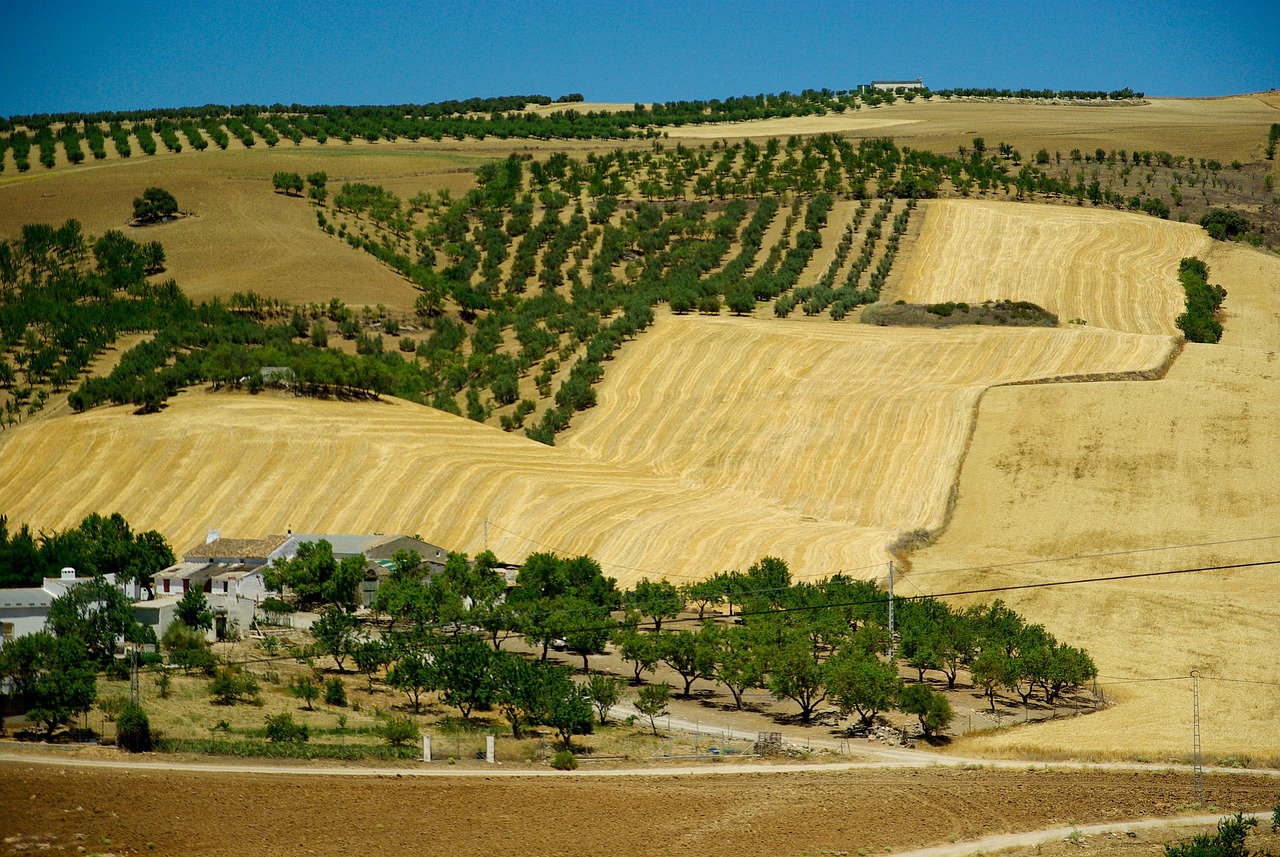 Ontdek Het Mooiste van Andalusie Een Reis door Cultuur en Natuur 7