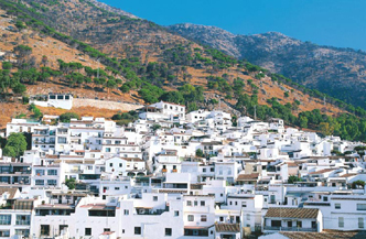 Klassiek Andalusië Een Reis Door Tijdloze Tradities en Iconische Bezienswaardigheden 0